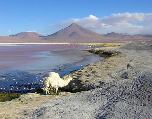 Laguna Colorado