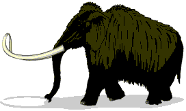 The woolly mammoth