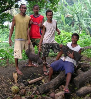 Boys with their pigs