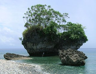 Captain Cook's Rock