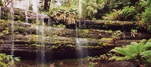 Mount Field National Park