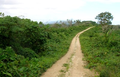 Road to North Pentecost