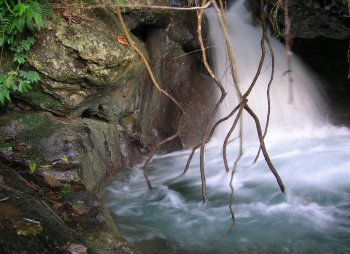 Swimming pool near Waterfall