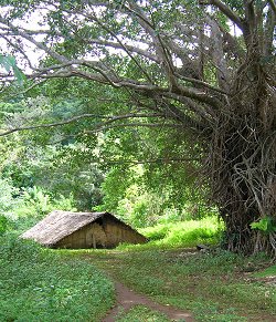 The nakamal at Vanwoki village, Pentecost